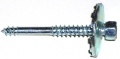 Funny screw 0610-4.jpg