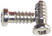 Hinge screws 5491-2.jpg