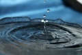 W drop-of-water.jpg