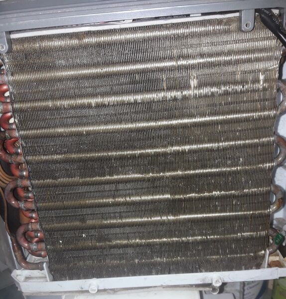 File:20250110 144054-3 dh hx.jpg