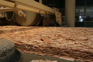 OSB being produced