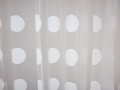 Shower curtain 2557-2.jpg