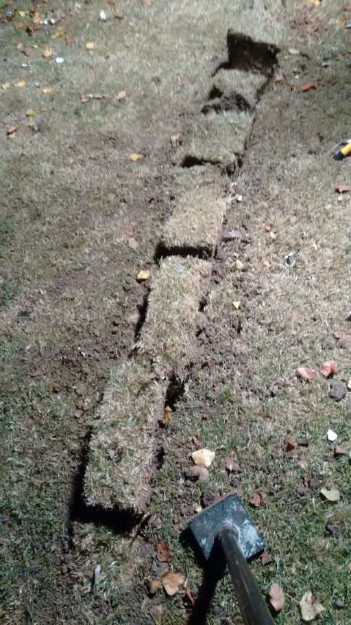 The turf came out attached to great lumps of solid Essex clay here!