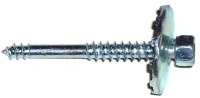 Funny screw 0610-5.jpg